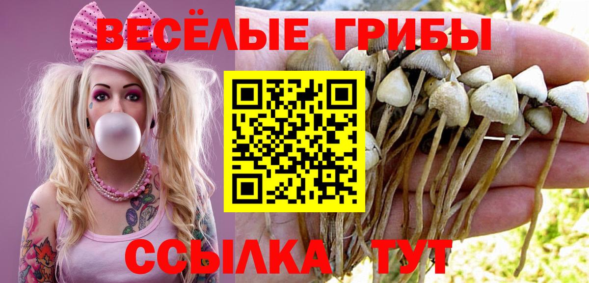Галлюциногенные грибы Psilocybine cubensis  Галлюциногенные грибы MAGIC MUSHROOMS  Аксай  даркнет сайт  Вход с VPN 